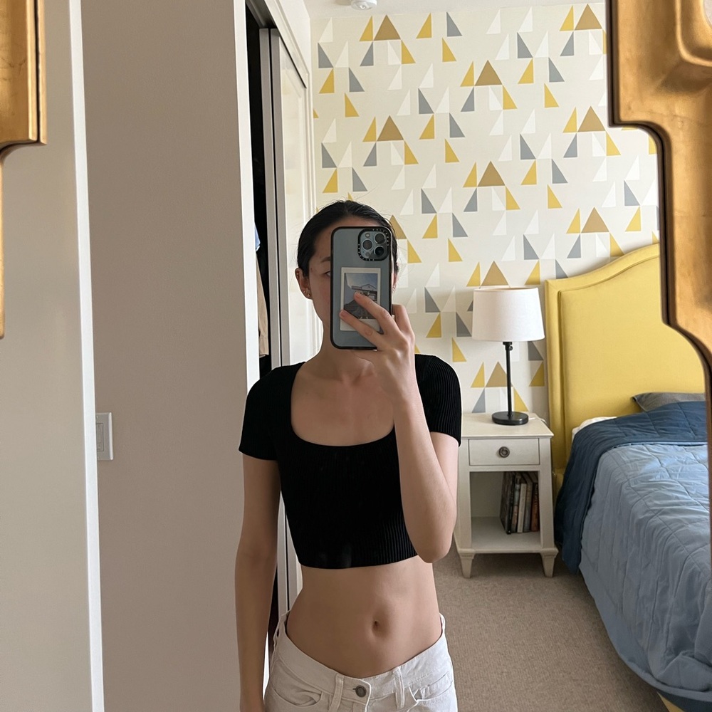 Aritzia babaton scoop neck crop top